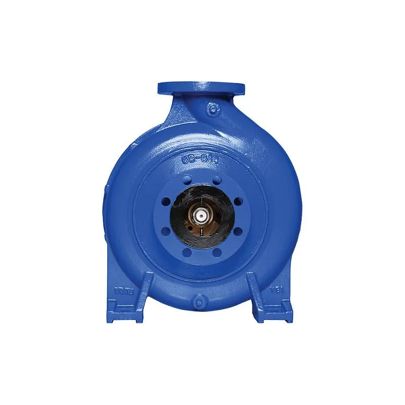 Насос Ebara GS 150-500-458/M1 (арт. 2685000008) Насос Ebara GS2 100-250-254/B1/E 90 (арт. 2689000010) — изображение 2