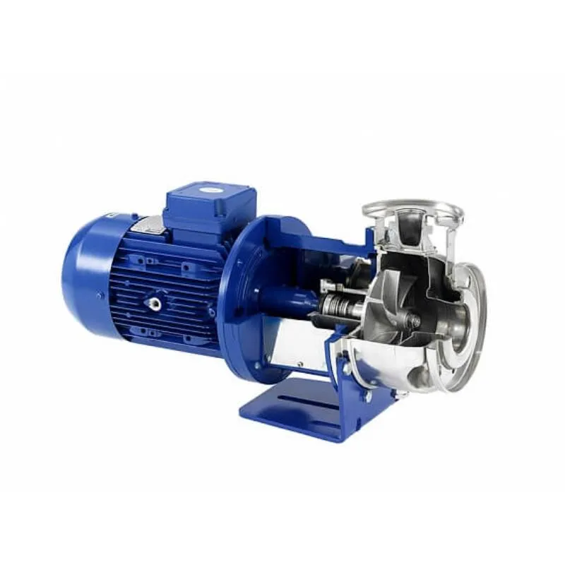 Насос Lowara ESHE 25-125/07/S25RSNA (арт. 101860000) Насос Lowara ESHC 65-200/150/P25VSNA (арт. 101862603) — изображение 3