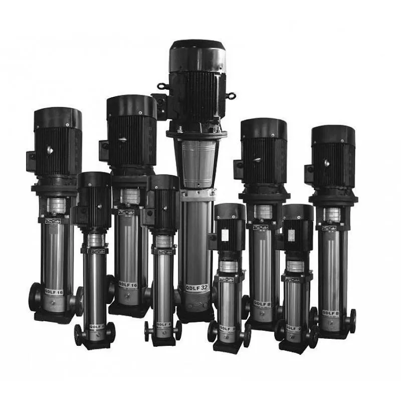 Насос CNP CDL-12-9-FSWPR Насос CNP CDL-1-30-FSWPR