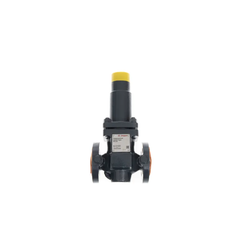 Комплект Ридан APF-R DN65 с диапазоном 0.15-1.5 бар Комплект Ридан APF-R DN65 с диапазоном 0.15-1.5 бар — изображение 2